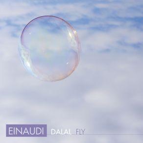 Fly album cover