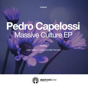 Massive Culture album cover