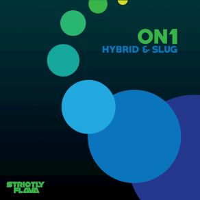 Hybrid & Slug album cover