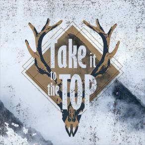 Take It To The Top album cover