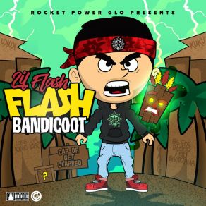 Flash Bandicoot album cover