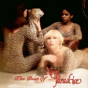 New Paradise (The Best Of) album cover