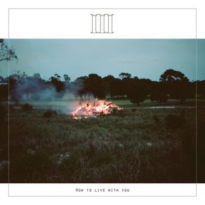 How To Live With You album cover