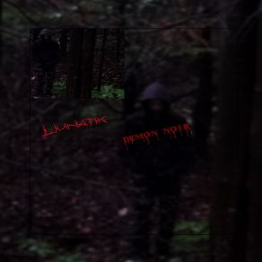 Démon Noir album cover