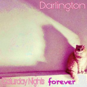 Caturday Nights Forever album cover