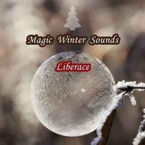 Magic Winter Sounds album cover