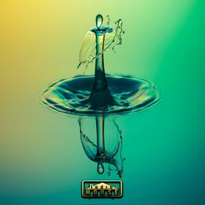 Metamorphosis album cover