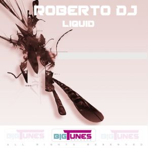 Liquid album cover