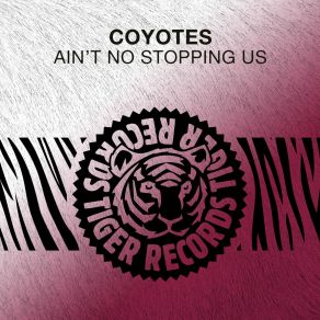 Ain't No Stopping Us album cover
