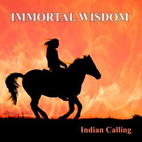 Immortal Wisdom album cover