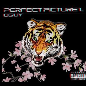 Perfect Picturez album cover