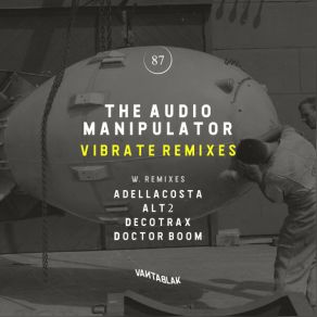 Vibrate Remixes album cover