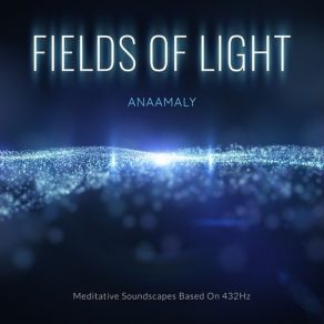 Fields Of Light album cover