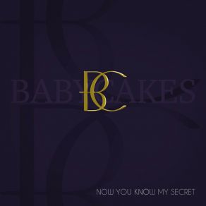 Now You Know My Secret album cover