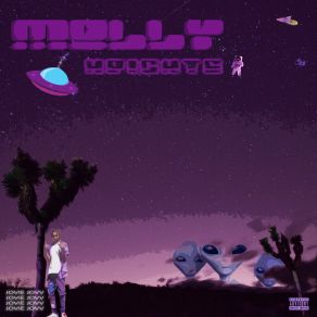 Molly Heights album cover