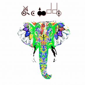 Elephant Room album cover