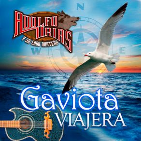 Gaviota Viajera album cover