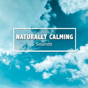 # 19 Naturally Calming Sounds For Meditation album cover