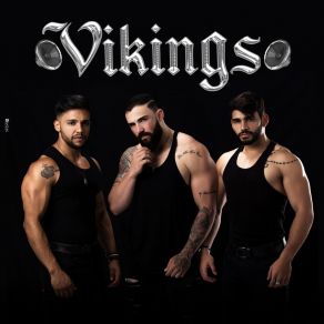 Vikings 2019 album cover