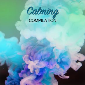 # 19 Calming Compilation For Spa & Relaxation album cover