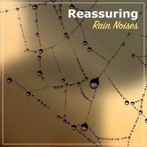 # 12 Reassuring Rain Noises album cover