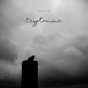 Tryptamine album cover