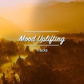 # 16 Mood Uplifting Tracks For Ultimate Spa Experience album cover