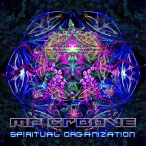 Spiritual Organization album cover