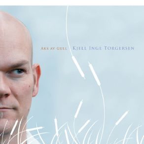 Aks Av Gull album cover