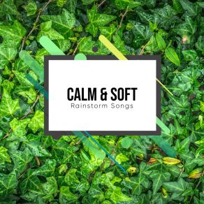 # 16 Calm & Soft Rainstorm Songs For Spa And Meditation album cover