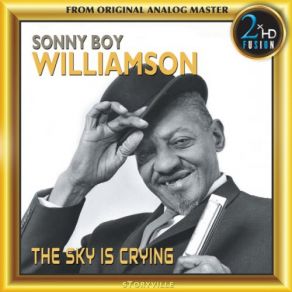 The Sky Is Crying (Remastered) album cover