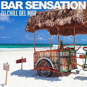 Bar Sensation album cover