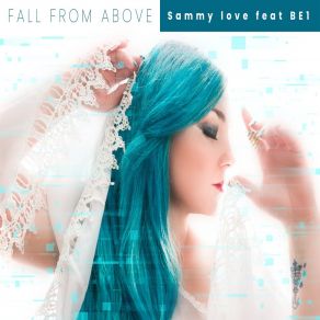Fall From Above album cover