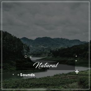 # 17 Natural Sounds For Asian Spa, Meditation & Yoga album cover