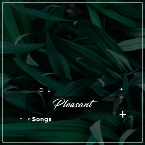 # 12 Pleasant Songs For Sleep And Relaxation album cover