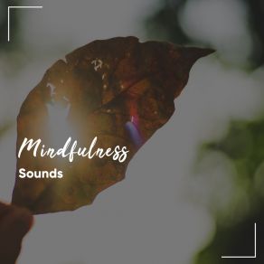# 16 Mindfulness Sounds For Soothing Spa Experience album cover