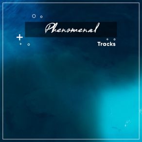 # 11 Phenomenal Tracks For Spa & Relaxation album cover