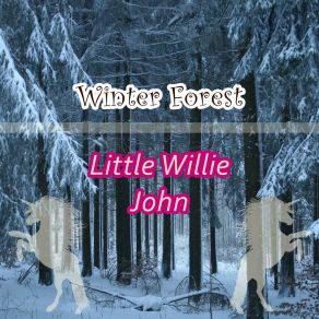 Winter Forest album cover