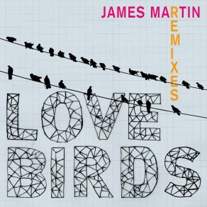 Lovebirds (Remixes) album cover