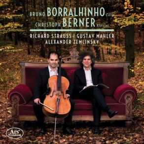 R. Strauss, Mahler & Zemlinsky: Works For Cello & Piano album cover