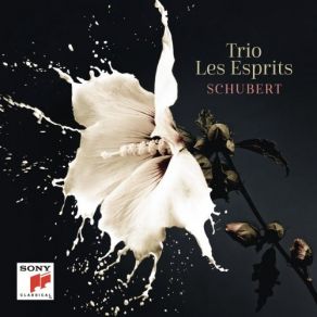 Schubert album cover