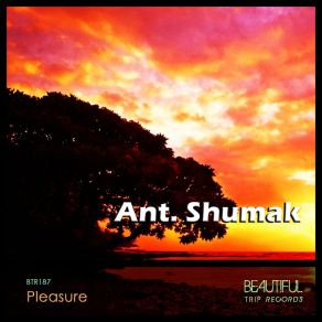 Pleasure album cover