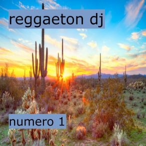 Número 1 album cover