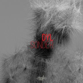 Sonder (Original Version) album cover