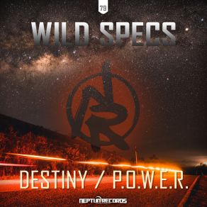 Destiny / P. O. W. E. R album cover