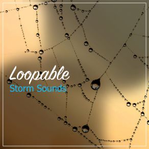 # 2019 Loopable Storm Sounds album cover
