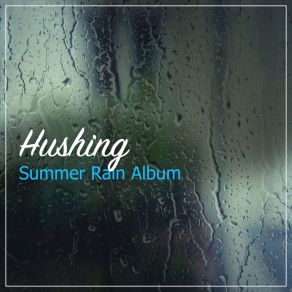 # 21 Hushing Summer Rain Album album cover