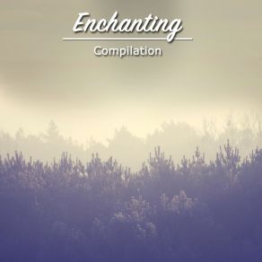 # 22 Enchanting Compilation For Meditation album cover