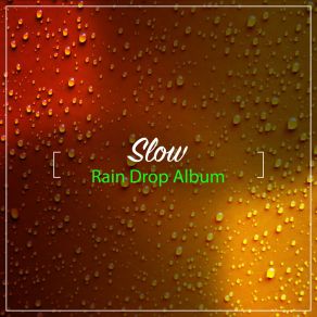 # 15 Slow Rain Drop Album album cover