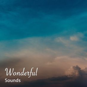# 19 Wonderful Sounds For Spa & Relaxation album cover